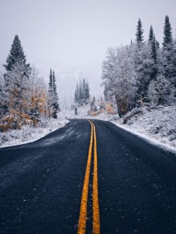 Between fall and winter