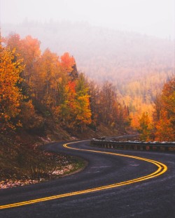 Fall colors by the bendy road