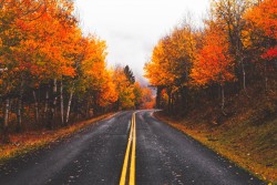 Fall colors on the road