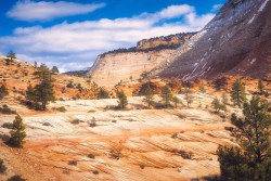 Summer in Zion National Park