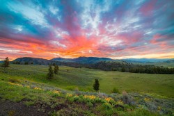 Colorful sunrise in Yellowstone